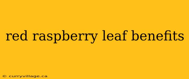 red raspberry leaf benefits