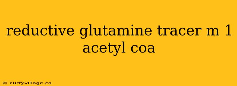 reductive glutamine tracer m 1 acetyl coa
