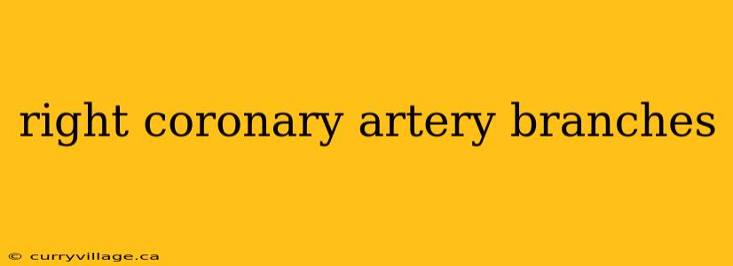 right coronary artery branches
