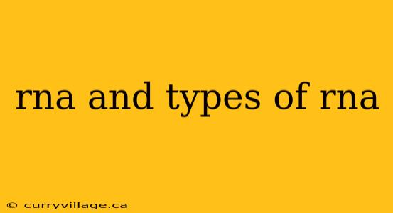 rna and types of rna