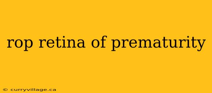 rop retina of prematurity