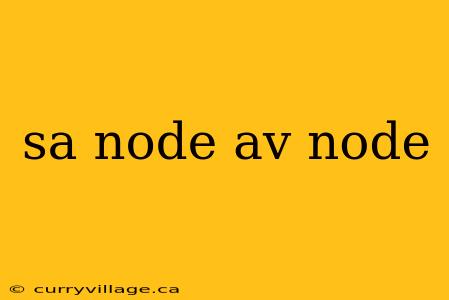 sa node av node