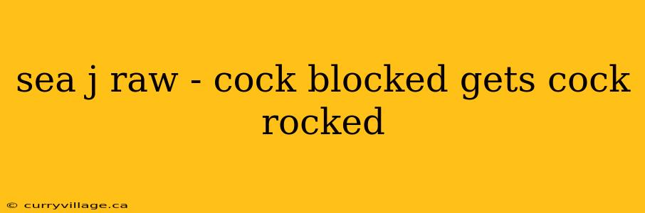 sea j raw - cock blocked gets cock rocked