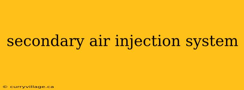 secondary air injection system