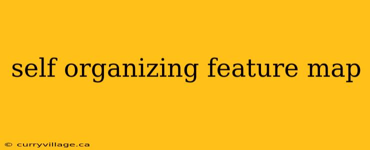 self organizing feature map
