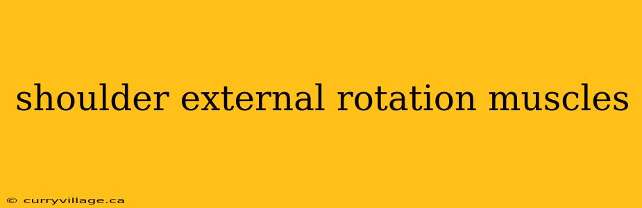 shoulder external rotation muscles