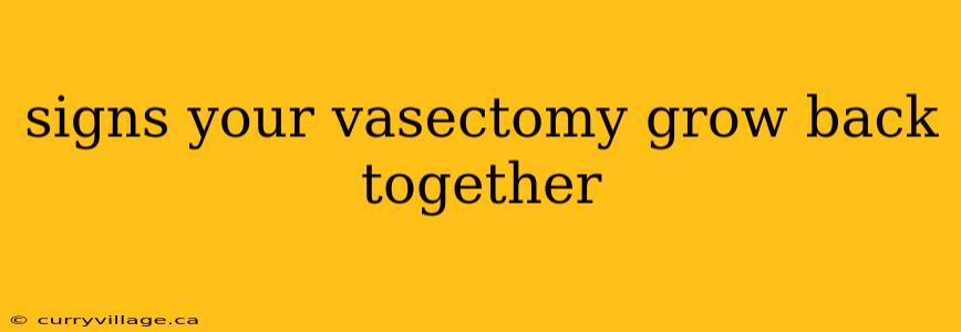 signs your vasectomy grow back together