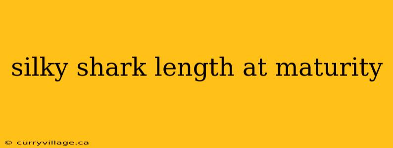silky shark length at maturity