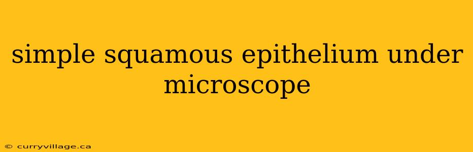 simple squamous epithelium under microscope