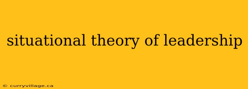 situational theory of leadership