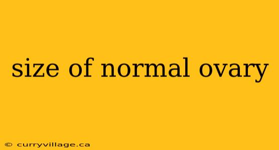 size of normal ovary