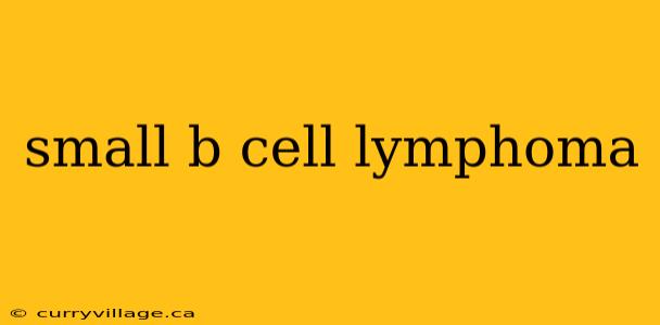 small b cell lymphoma