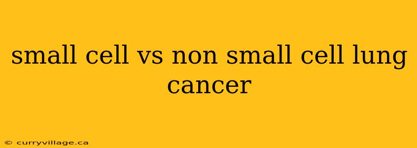 small cell vs non small cell lung cancer