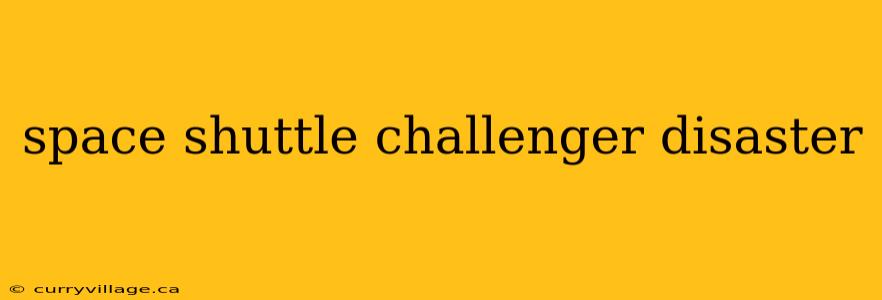 space shuttle challenger disaster