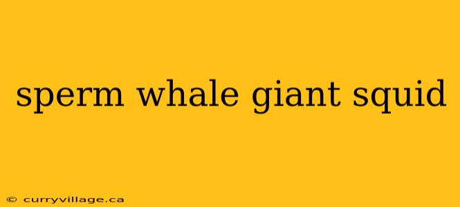 sperm whale giant squid