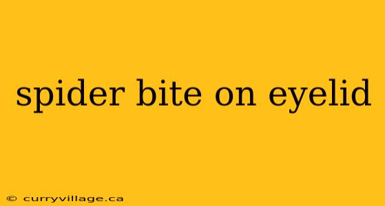 spider bite on eyelid