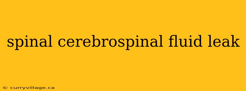 spinal cerebrospinal fluid leak