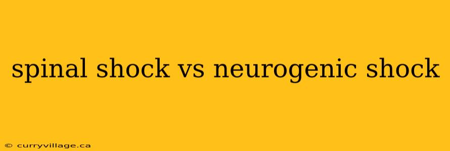 spinal shock vs neurogenic shock