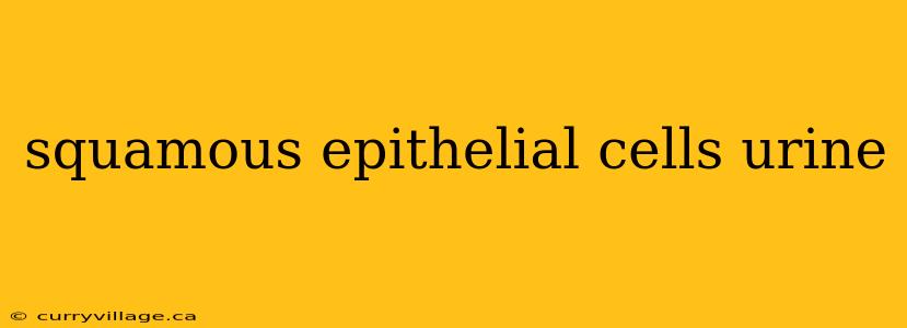 squamous epithelial cells urine