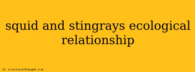 squid and stingrays ecological relationship