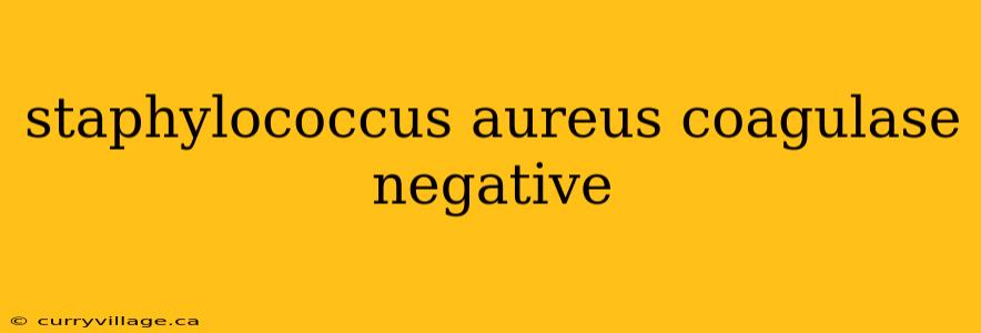staphylococcus aureus coagulase negative