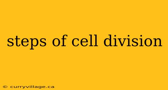 steps of cell division