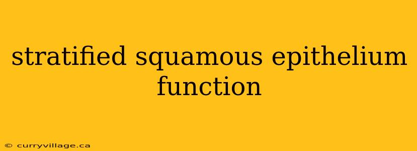 stratified squamous epithelium function