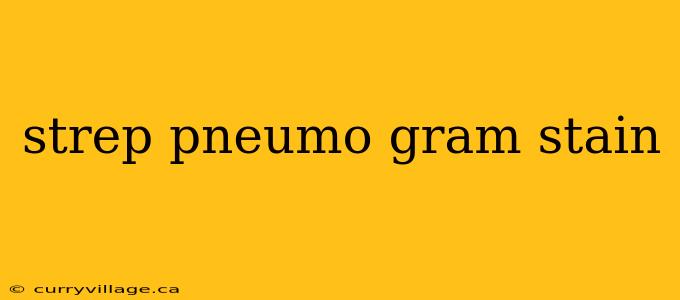 strep pneumo gram stain