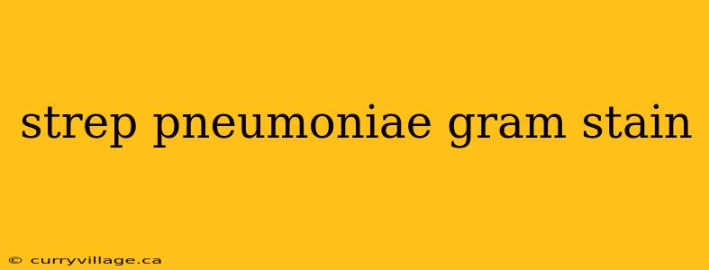 strep pneumoniae gram stain