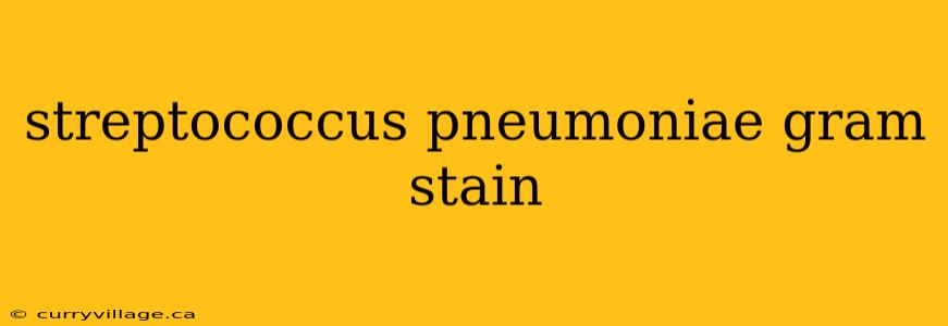 streptococcus pneumoniae gram stain