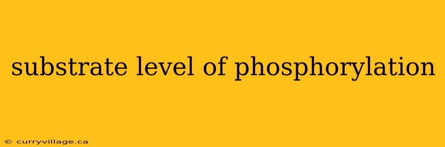substrate level of phosphorylation