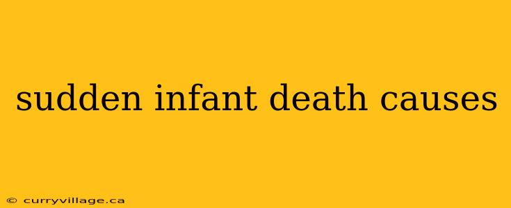 sudden infant death causes