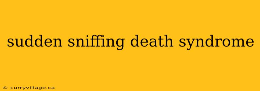 sudden sniffing death syndrome