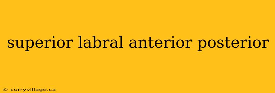 superior labral anterior posterior