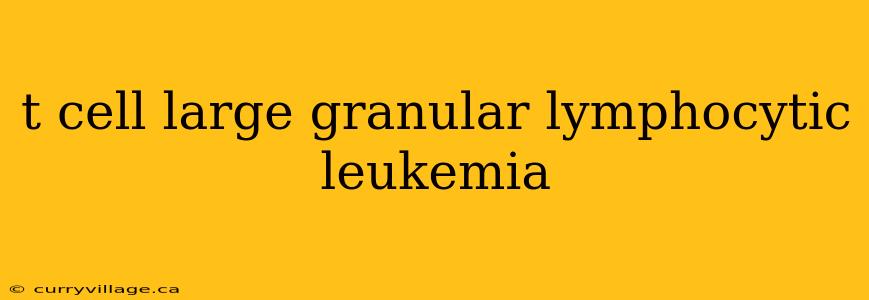 t cell large granular lymphocytic leukemia