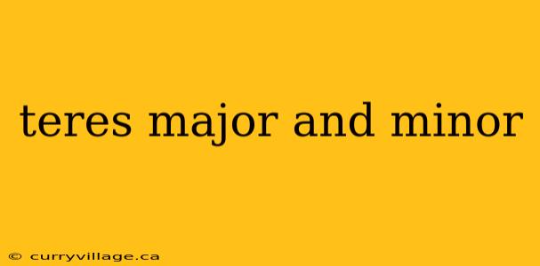 teres major and minor
