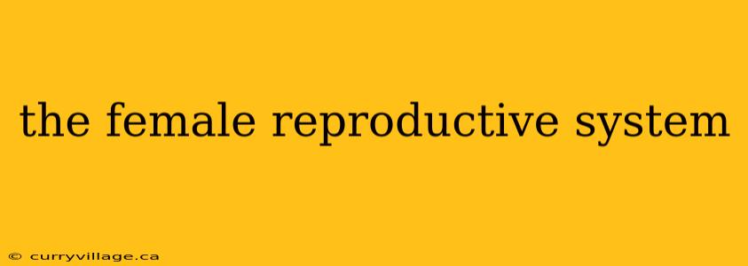 the female reproductive system