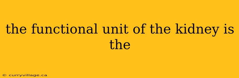 the functional unit of the kidney is the