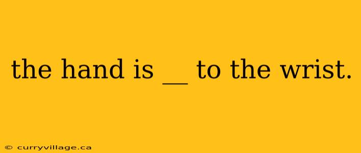 the hand is __ to the wrist.