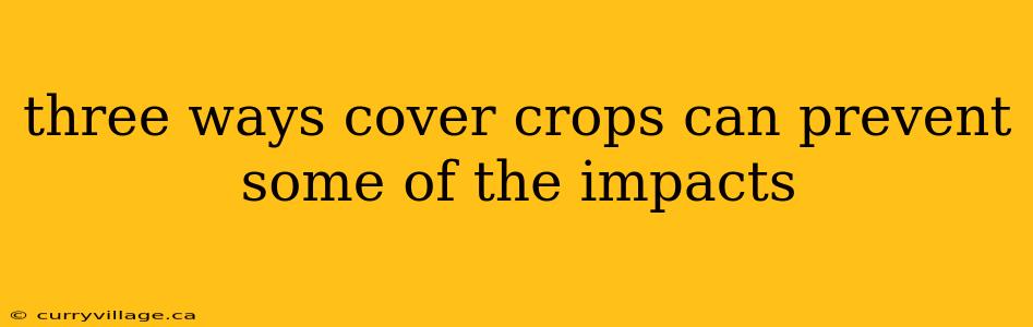 three ways cover crops can prevent some of the impacts