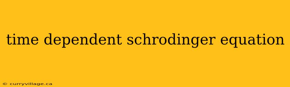 time dependent schrodinger equation