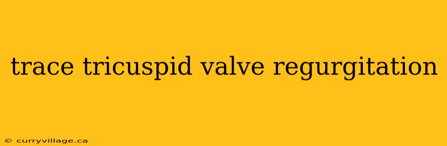 trace tricuspid valve regurgitation