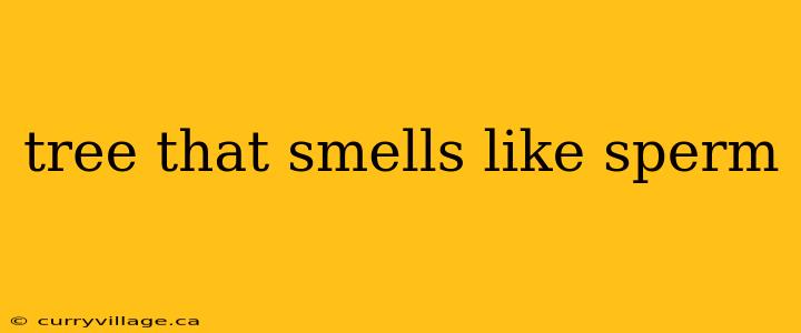 tree that smells like sperm