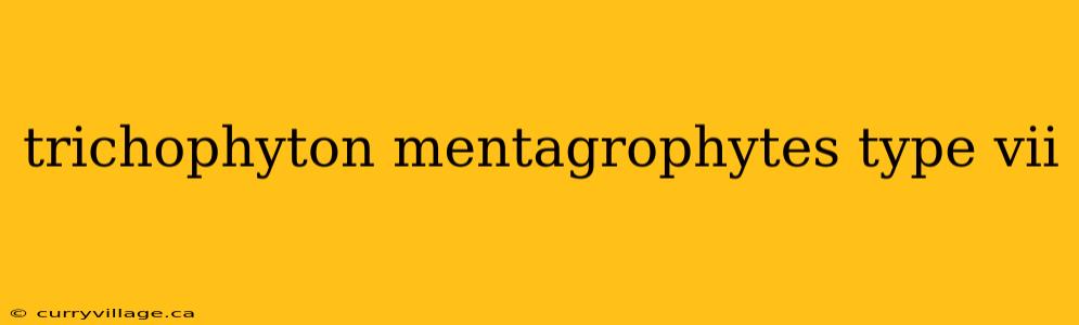 trichophyton mentagrophytes type vii