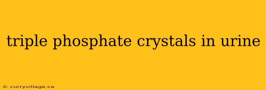 triple phosphate crystals in urine