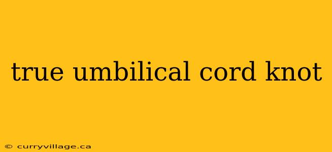 true umbilical cord knot