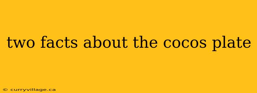 two facts about the cocos plate