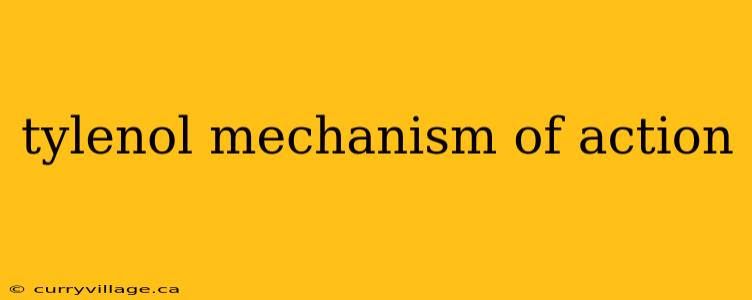 tylenol mechanism of action
