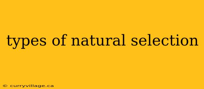 types of natural selection