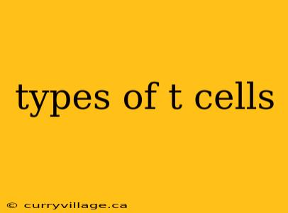 types of t cells